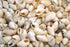 beige small conch whelk seashell 1 kg